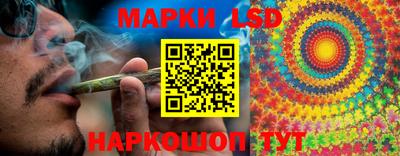 гидропоника Будённовск