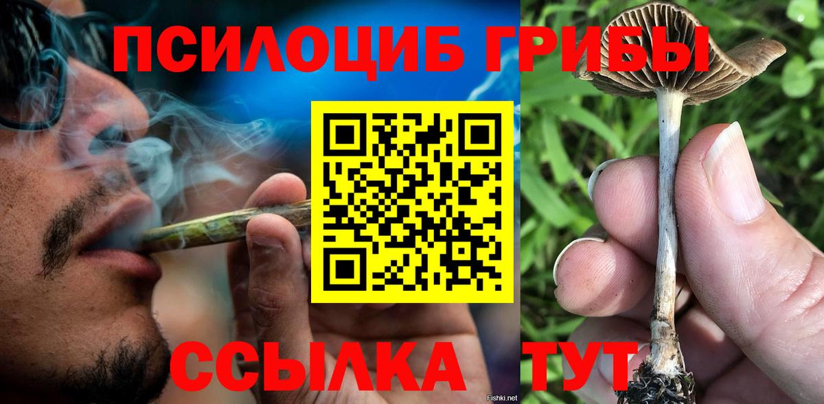 Галлюциногенные грибы MAGIC MUSHROOMS Кохма
