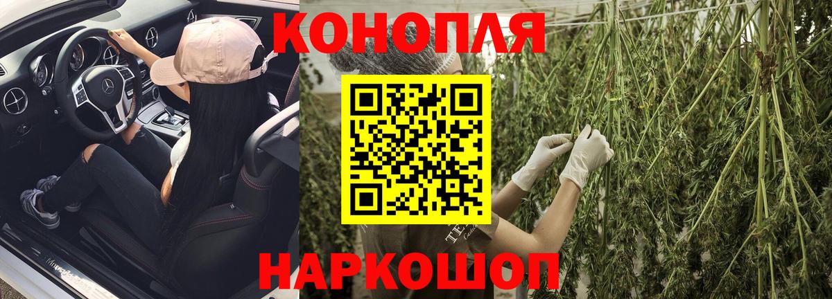 Марихуана индика Кохма